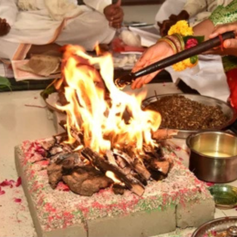 best pandit in nalkheda